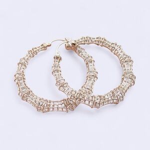 Silver Hoop Earrings